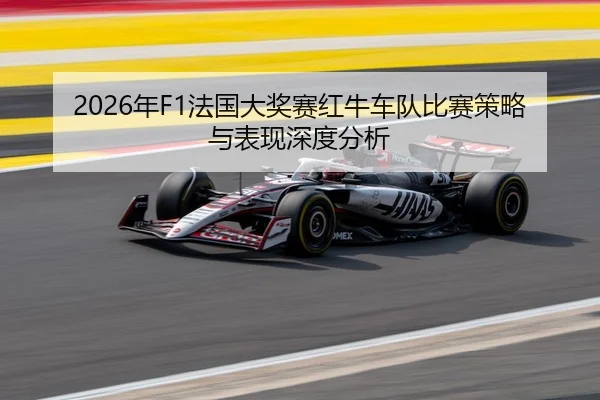 2026年F1法国大奖赛红牛车队比赛策略与表现深度分析
