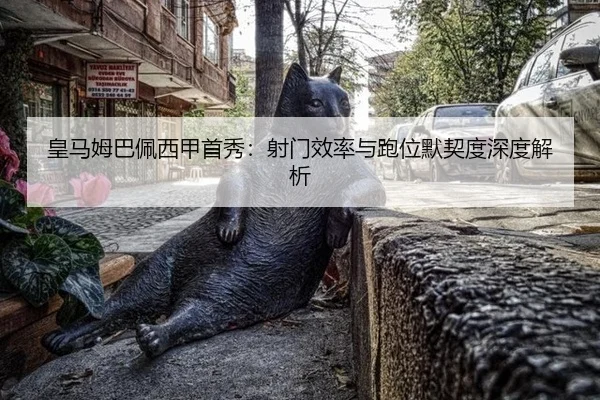 huang-ma-mu-ba-pei-xi-jia-shou-xiu-she-men-xiao-lv-yu-pao-wei-mo-qi-du-shen-du-jie-xi-2-390.jpg
